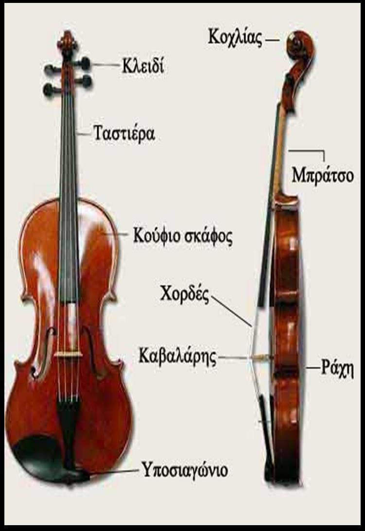 Η Βιόλα είναι έγχορδο μουσικό όργανο που μοιάζει με το βιολί και παίζεται επίσης με δοξάρι που αποτελείται από 200-250 τρίχες ουράς αλόγου.