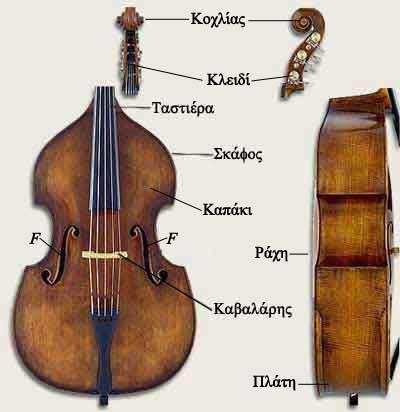 Το Κοντραμπάσο ή αλλιώς Βαθύχορδο, είναι ένα έγχορδο μουσικό όργανο που παίζεται με δοξάρι. Έχει μήκος περίπου 1.
