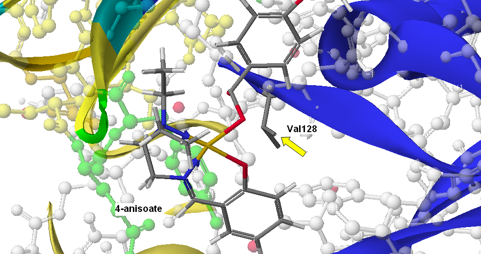 Cu(SalNEt 2 )-2-anisoate Σχήμα 32: Προσάραξη του συμπλόκου Cu(SalNEt 2 )- 2-anisoate στη DNA τοποϊσομεράση ΙΙ.