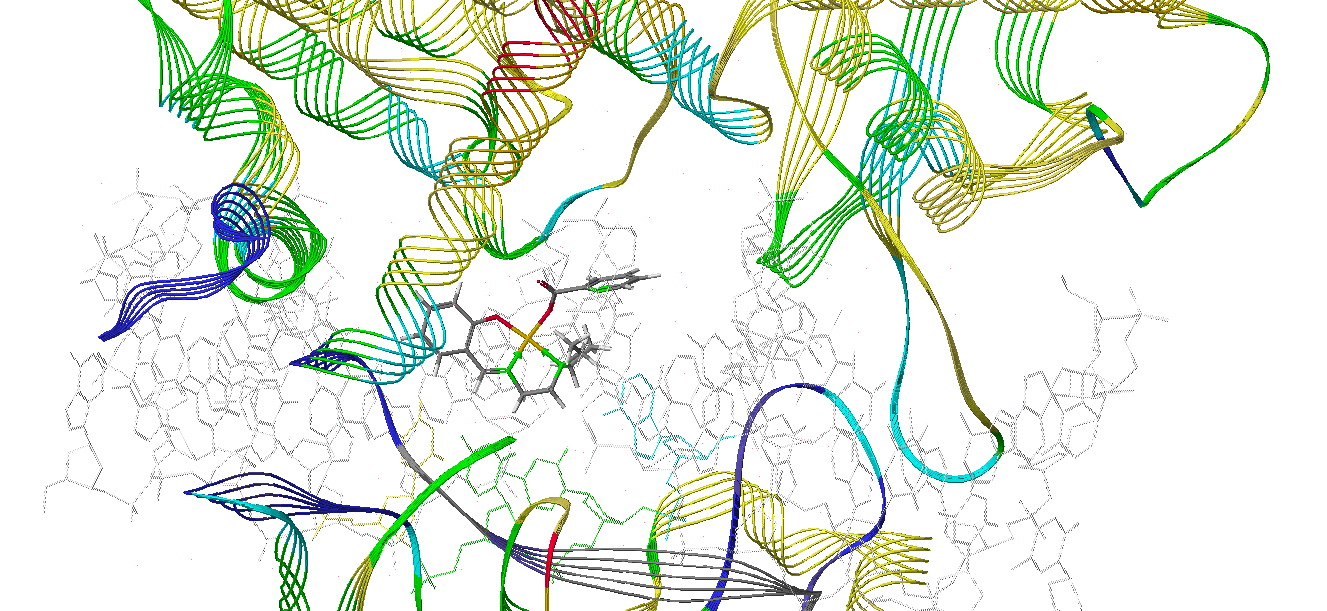 Cu(SalNEt 2 )-betainate Σχήμα 4: Προσάραξη του Cu(SalNEt 2 )-betainate στη DNA τοποϊσομεράση Ι.