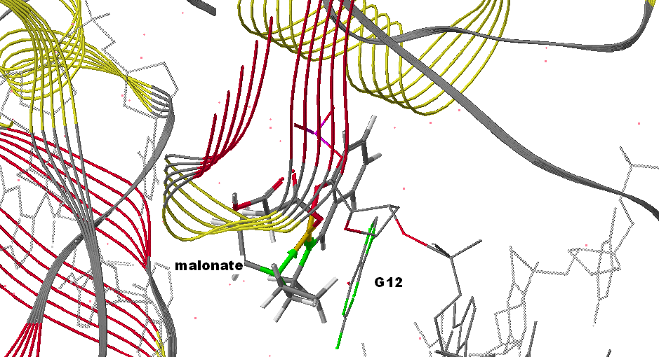 Cu(SalNEt 2 )- terephthalate Σχήμα 17: Προσάραξη του Cu(SalNEt 2 )-terephthalate στη DNA τοποϊσομεράση Ι Δεν παρατηρήθηκαν αλληλεπιδράσεις κατά τη διαδικασία της προσάραξης.