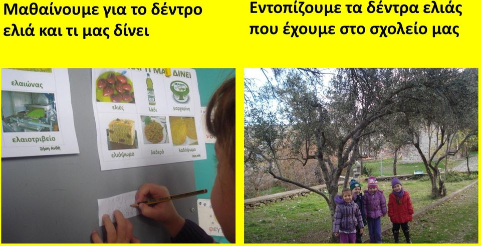 Εντοπίηουμε τα δζντρα