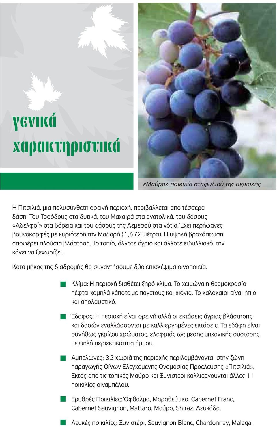 Το τοπίο, άλλοτε άγριο και άλλοτε ειδυλλιακό, την κάνει να ξεχωρίζει. Κατά μήκος της διαδρομής θα συναντήσουμε δύο επισκέψιμα οινοποιεία. Κλίμα: Η περιοχή διαθέτει ξηρό κλίμα.