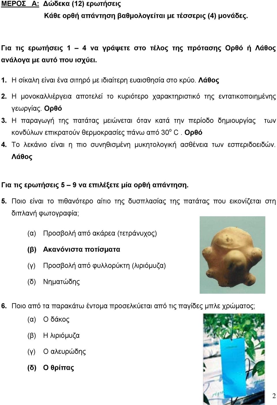 Η παραγωγή της πατάτας μειώνεται όταν κατά την περίοδο δημιουργίας των κονδύλων επικρατούν θερμοκρασίες πάνω από 30 ο C. Ορθό 4.