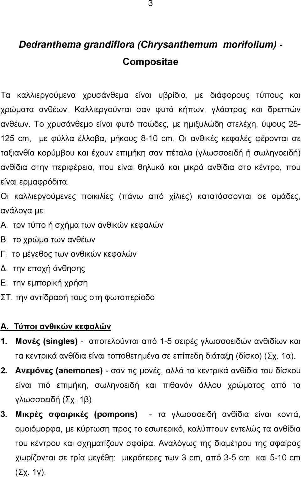 Οι ανθικές κεφαλές φέρονται σε ταξιανθία κορύμβου και έχουν επιμήκη σαν πέταλα (γλωσσοειδή ή σωληνοειδή) ανθίδια στην περιφέρεια, που είναι θηλυκά και μικρά ανθίδια στο κέντρο, που είναι ερμαφρόδιτα.