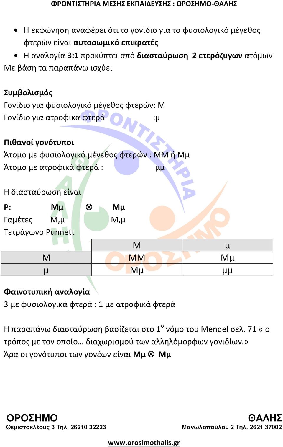 ΜΜ ι Μμ Άτομο με ατροφικά φτερά : μμ Η διαςταφρωςθ είναι P: Μμ Μμ Γαμζτεσ Μ,μ Μ,μ Σετράγωνο Punnett Μ μ M ΜΜ Μμ μ Μμ μμ 3 με φυςιολογικά φτερά : 1 με ατροφικά