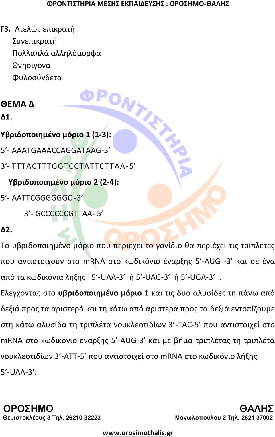 Σο υβριδοποιθμζνο μόριο που περιζχει το γονίδιο κα περιζχει τισ τριπλζτεσ που αντιςτοιχοφν ςτο mrna ςτο κωδικόνιο ζναρξθσ 5 -AUG -3 και ςε ζνα από τα κωδικόνια λιξθσ 5 -UAA-3 ι 5 -UAG-3 ι 5 -UGA-3.