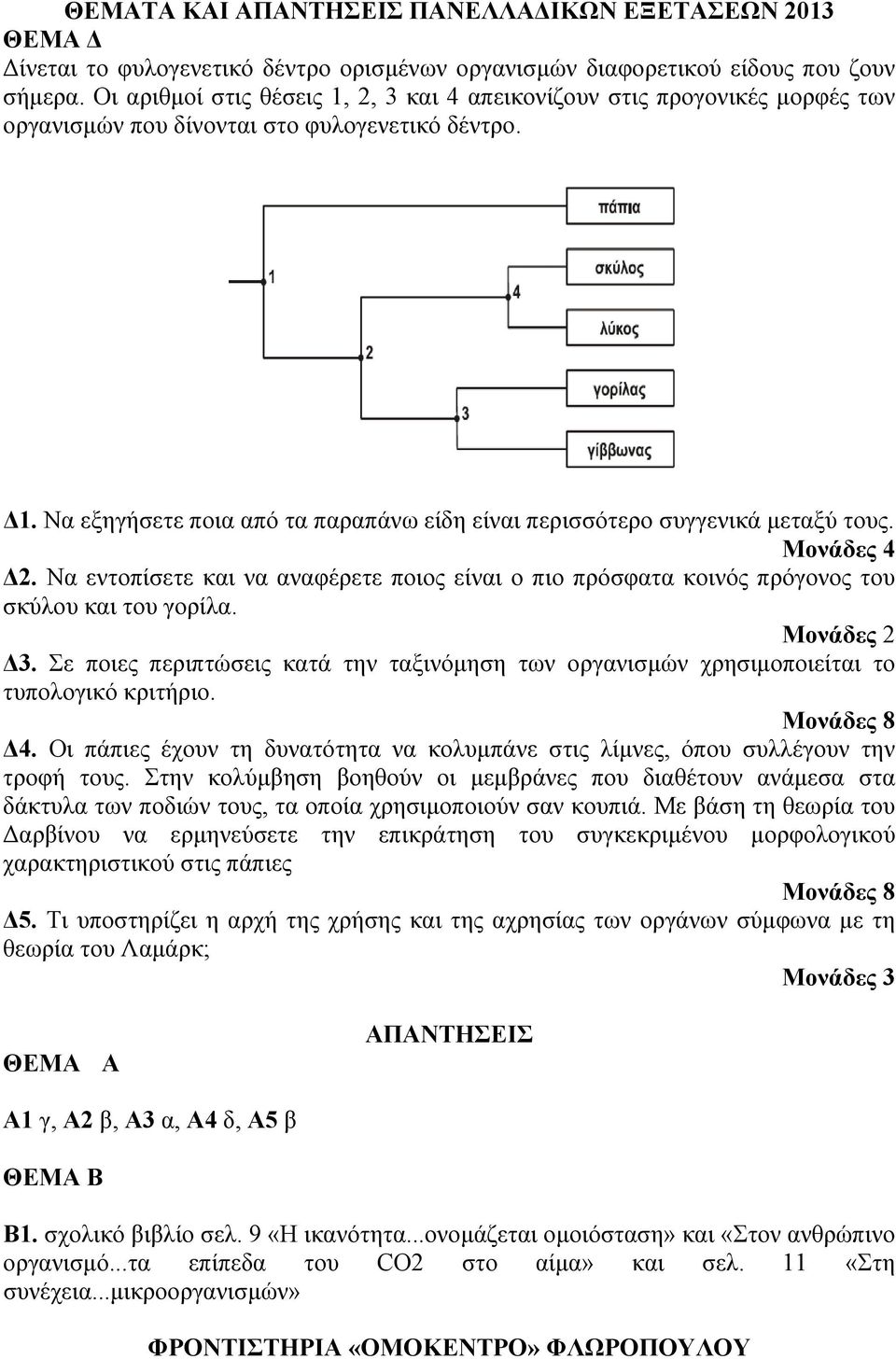 Να εξηγήσετε ποια από τα παραπάνω είδη είναι περισσότερο συγγενικά μεταξύ τους. Μονάδες 4 Δ2. Να εντοπίσετε και να αναφέρετε ποιος είναι ο πιο πρόσφατα κοινός πρόγονος του σκύλου και του γορίλα.