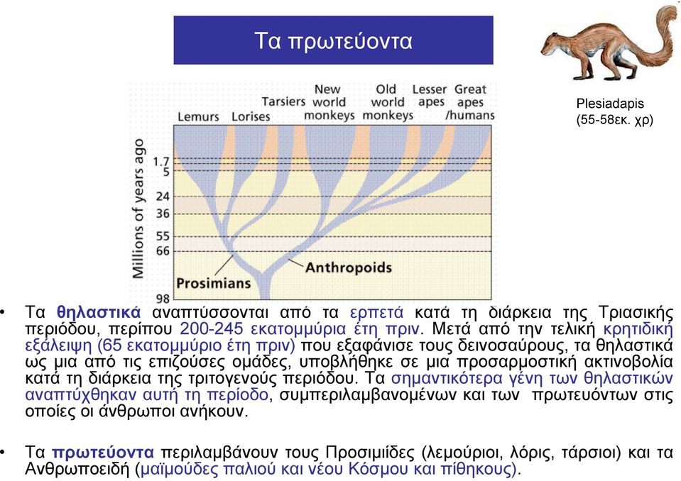 προσαρμοστική ακτινοβολία κατά τη διάρκεια της τριτογενούς περιόδου.