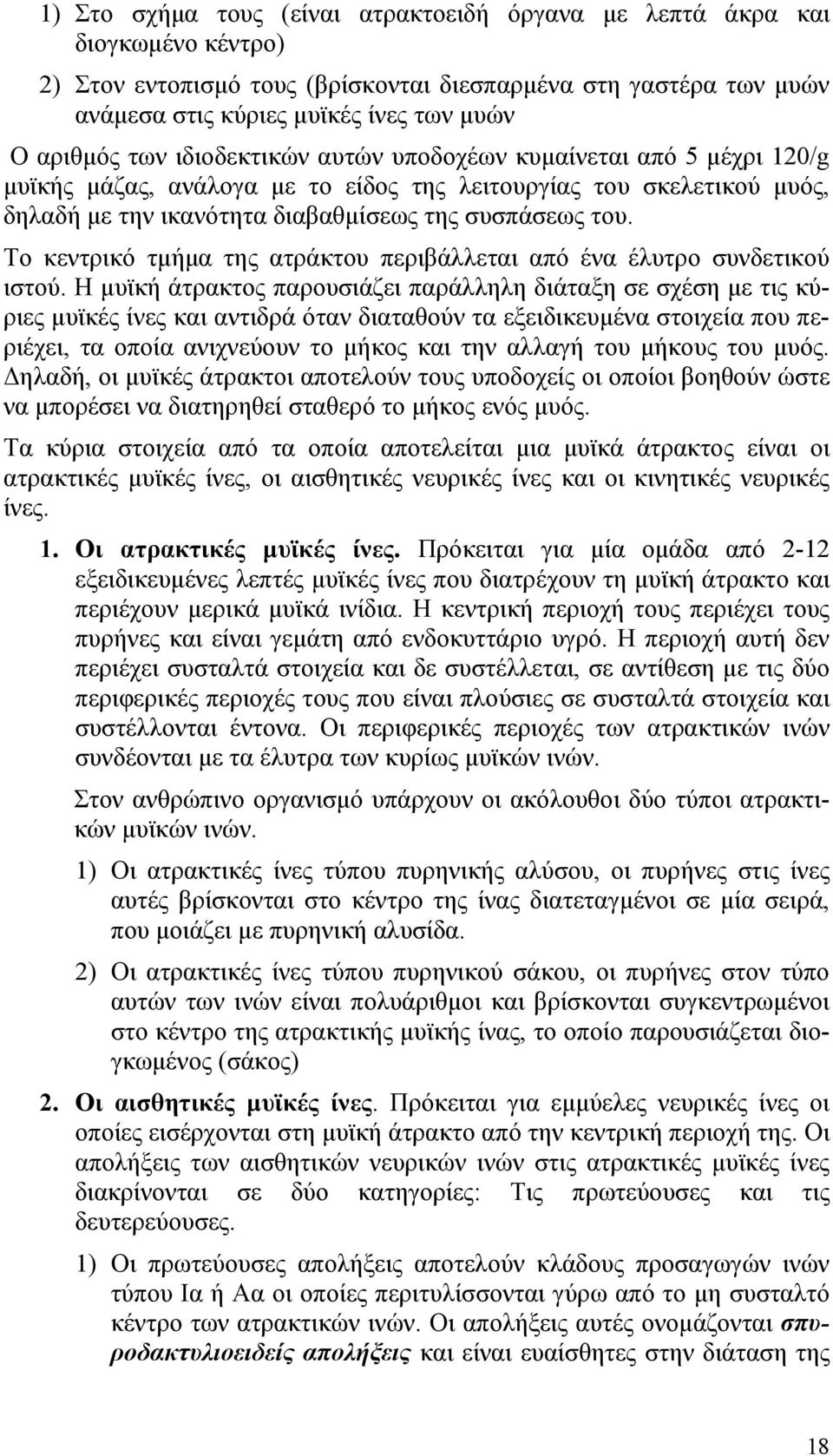 Το κεντρικό τµήµα της ατράκτου περιβάλλεται από ένα έλυτρο συνδετικού ιστού.