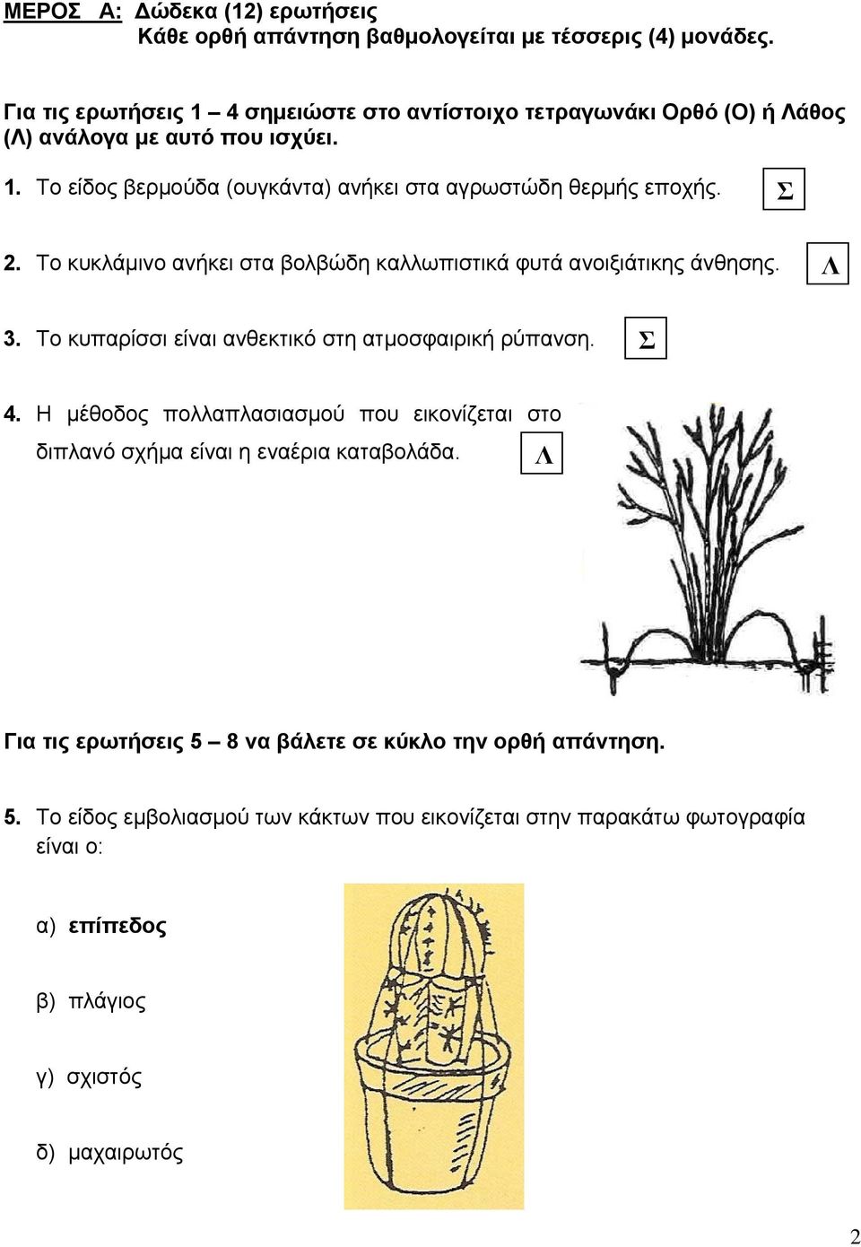 Σ 2. Το κυκλάμινο ανήκει στα βολβώδη καλλωπιστικά φυτά ανοιξιάτικης άνθησης. Λ 3. Το κυπαρίσσι είναι ανθεκτικό στη ατμοσφαιρική ρύπανση. Σ 4.