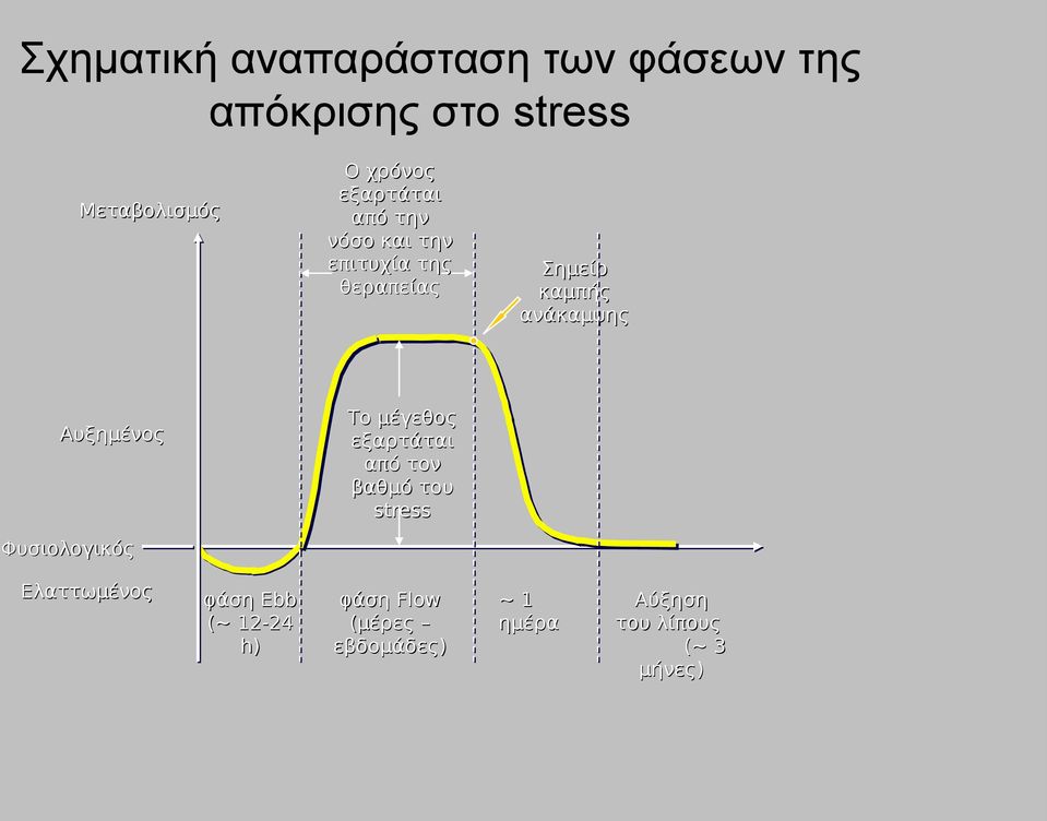 Αυξημένος Φυσιολογικός Το μέγεθος εξαρτάται από τον βαθμό του stress Ελαττωμένος