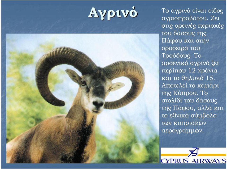 Τροόδους. Το αρσενικό αγρινό ζει περίπου 12 χρόνια και το θηλυκό 15.