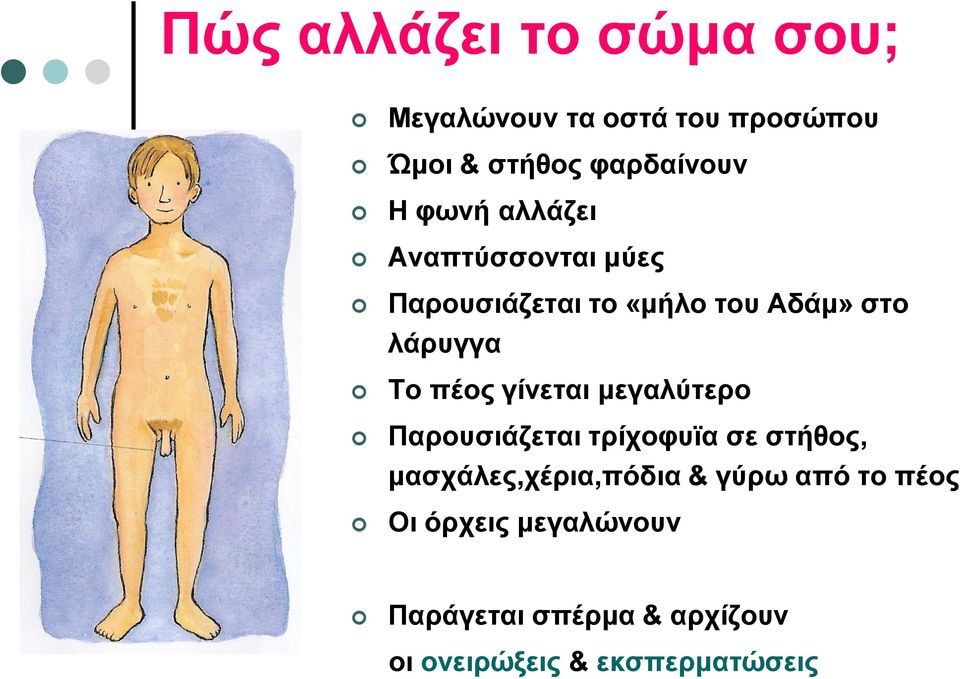 γίνεται μεγαλύτερο Παρουσιάζεται τρίχοφυϊα σε στήθος, μασχάλες,χέρια,πόδια & γύρω από