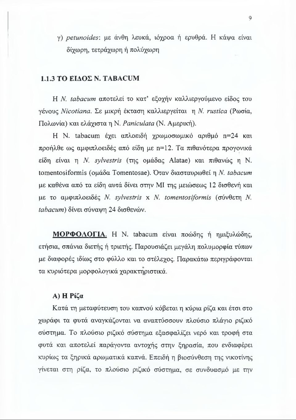 Τα πιθανότερα προγονικά είδη είναι η Ν. sylvestris (της ομάδας Alatae) και πιθανώς η Ν. tomentosiformis (ομάδα Tomentosae). Όταν διασταυρωθεί η Ν.