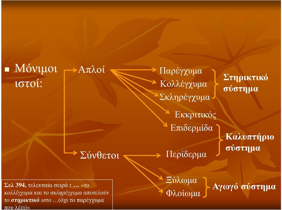 Σελ 394, τελευταία σειρά : «το κολλέγχυµα και το σκληρέγχυµα