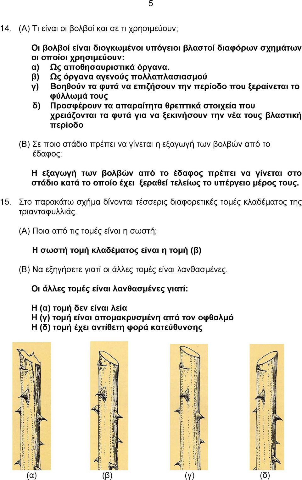 την νέα τους βλαστική περίοδο (Β) Σε ποιο στάδιο πρέπει να γίνεται η εξαγωγή των βολβών από το έδαφος; Η εξαγωγή των βολβών από το έδαφος πρέπει να γίνεται στο στάδιο κατά το οποίο έχει ξεραθεί