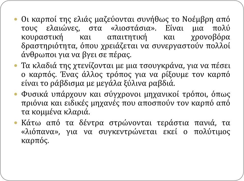 Τα κλαδιά της χτενίζονται με μια τσουγκράνα, για να πέσει ο καρπός. Ένας άλλος τρόπος για να ρίξουμε τον καρπό είναι το ράβδισμα με μεγάλα ξύλινα ραβδιά.