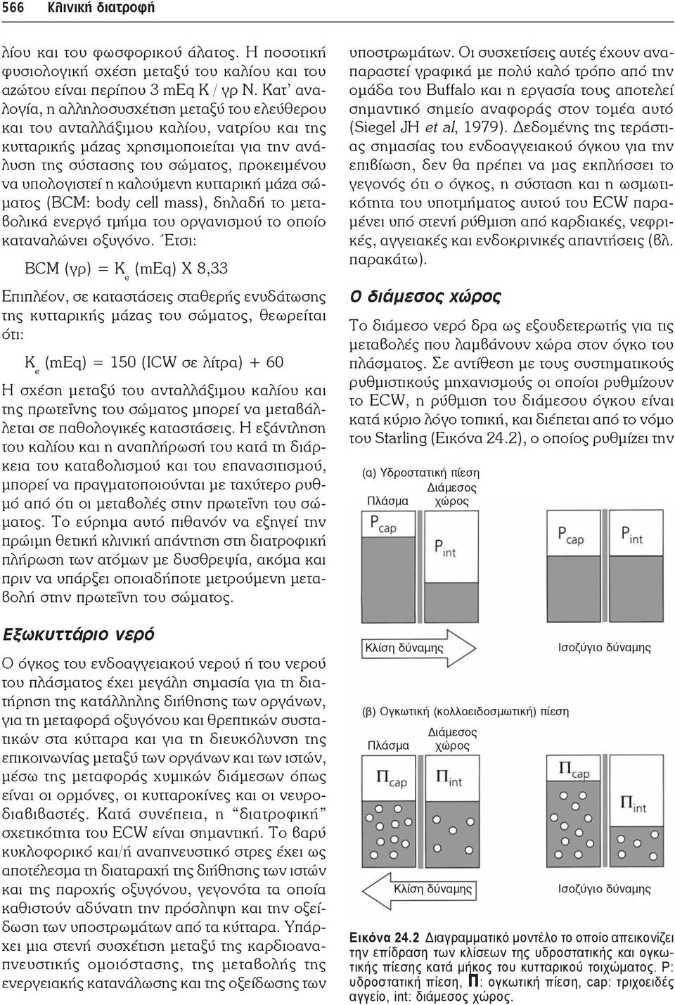 η καλούμενη κυτταρική μάζα σώματος (BCM: body cell mass), δηλαδή το μεταβολικά ενεργό τμήμα του οργανισμού το οποίο καταναλώνει οξυγόνο.