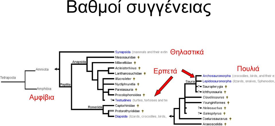Θειαζηηθά