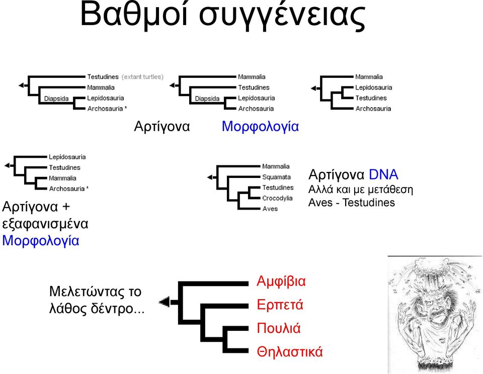 θαη κε κεηάζεζε Aves - Testudines Μειεηώληαο