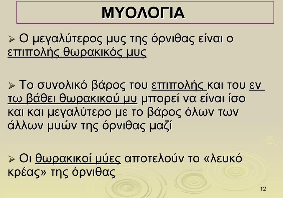 να είναι ίσο και και μεγαλύτερο με το βάρος όλων των άλλων μυών της