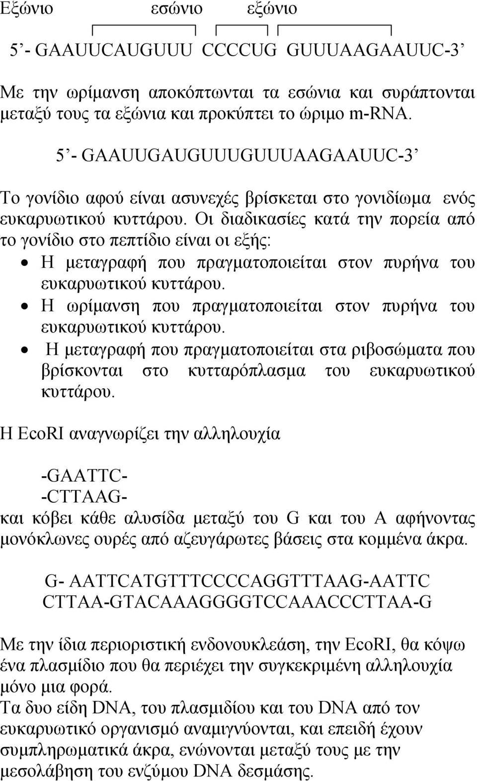 Οι διαδικασίες κατά την πορεία από το γονίδιο στο πεπτίδιο είναι οι εξής: Η μεταγραφή που πραγματοποιείται στον πυρήνα του ευκαρυωτικού κυττάρου.