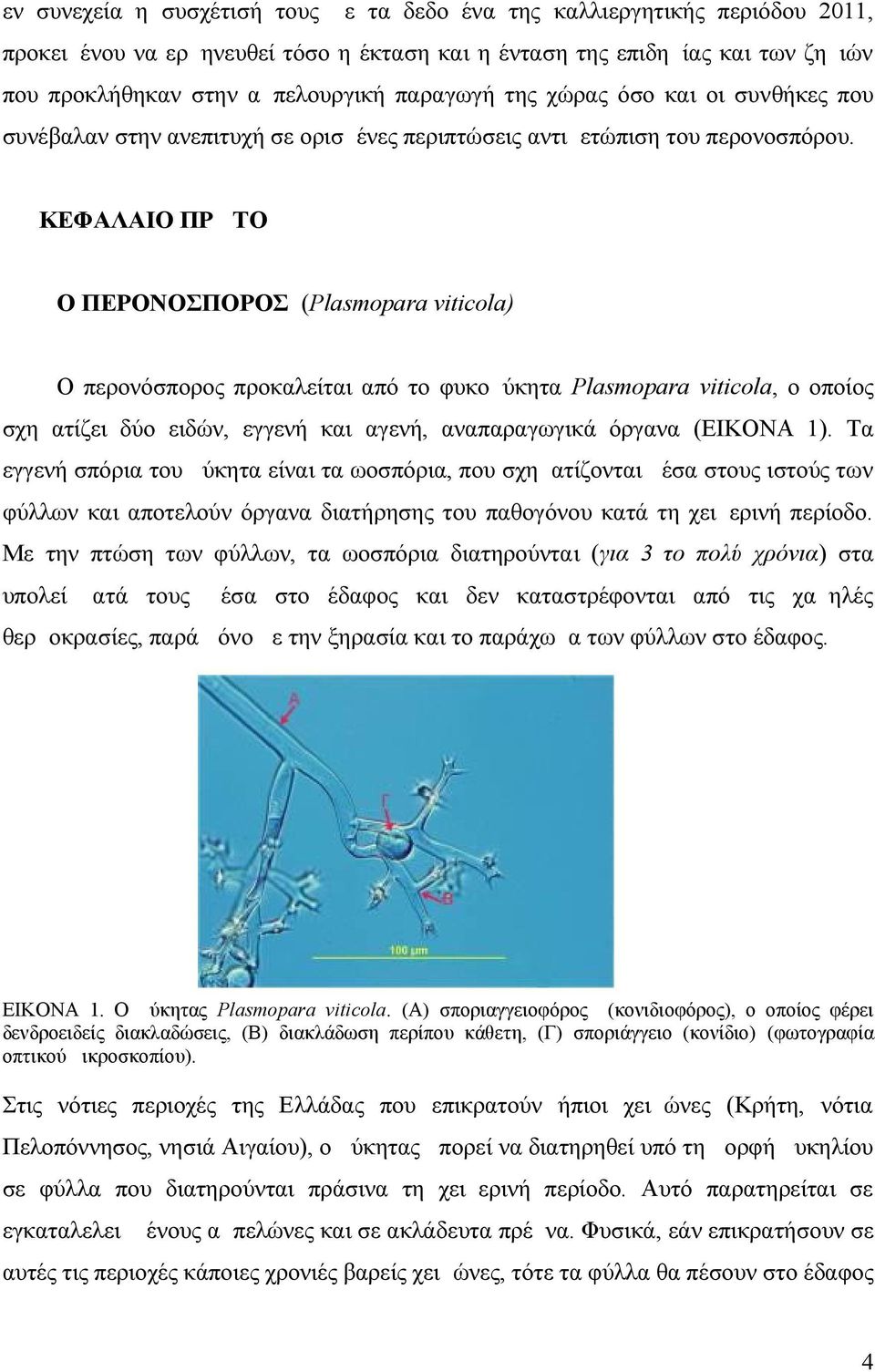 ΚΕΦΑΛΑΙΟ ΠΡΩΤΟ Ο ΠΕΡΟΝΟΣΠΟΡΟΣ (Plasmopara viticola) Ο περονόσπορος προκαλείται από το φυκομύκητα Plasmopara viticola, ο οποίος σχηματίζει δύο ειδών, εγγενή και αγενή, αναπαραγωγικά όργανα (ΕΙΚΟΝΑ 1).