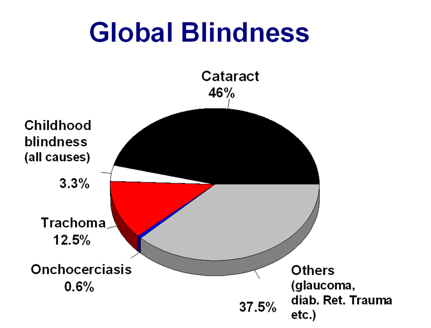 χώρας για την τυφλότητα είναι διαφορετικό, η κάθε χώρα ορίζει τα δικά της όρια.