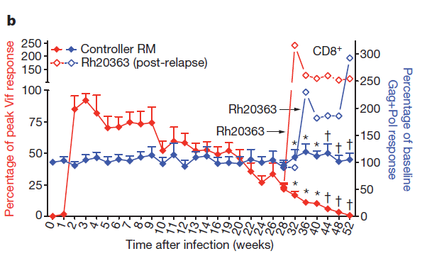 Longitudinal Analysis of Rh-CMV/SIV