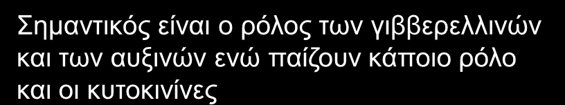 ΕΠΟΧΗ ΠΡΟΤΡΟΠΗΣ ΣΧΗΜΑΤΙΣΜΟΥ ΑΝΘΙΚΩΝ ΚΑΤΑΒΟΛΩΝ Οι καρποί ανταγωνίζονται το σχηματισμό ανθικών καταβολών Το ανθικό ερέθισμα πιθανόν δίδεται