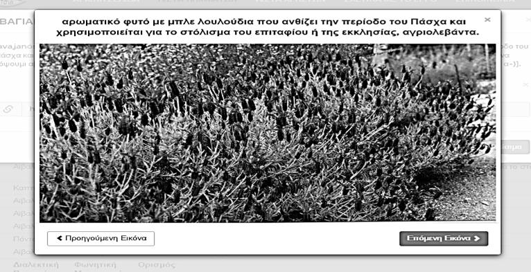 Πρόγραμμα ΘΑΛΗΣ: «Πόντος, Καππαδοκία, Αϊβαλί: στα χνάρια της Μικρασιατικής Ελληνικής» 143 Εικόνα