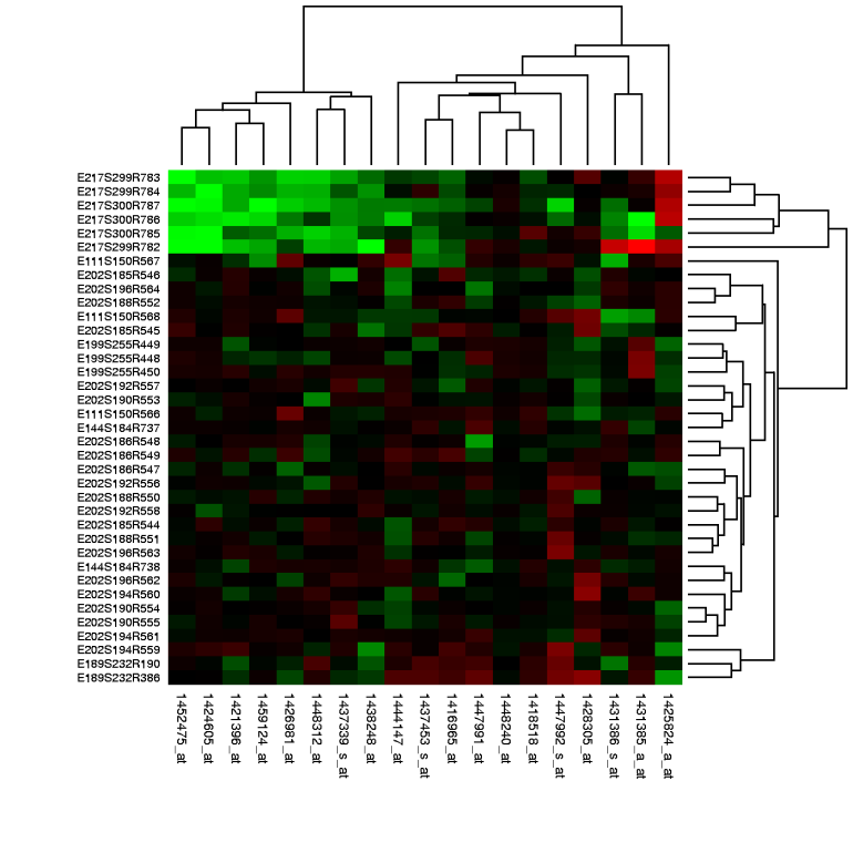 DNA microarray (DNA čip, biočip) sondy značené 82 jedinečnými 16S rrna sekvenciami (rozlíšenie 54
