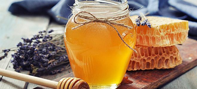 Μέλι ελάτης Είναι από τις καλύτερες και ακριβότερες κατηγορίες μελιού.