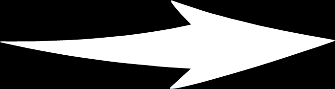 Coinfection D