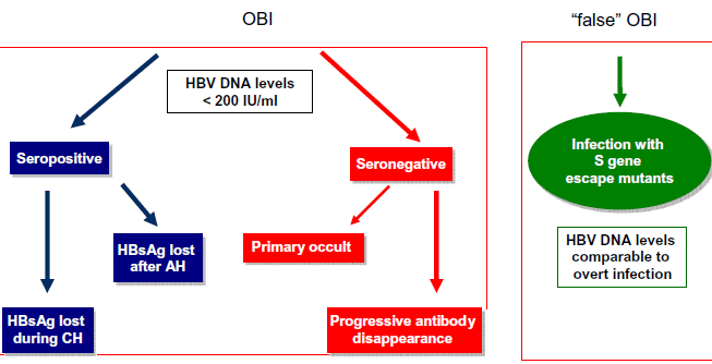 Ανιχνεύσιμο HBV DNA στο ήπαρ με ή χωρίς ανιχνεύσιμο HBV DNA στον ορό HBV DNA στον ορό <200 IU/mL