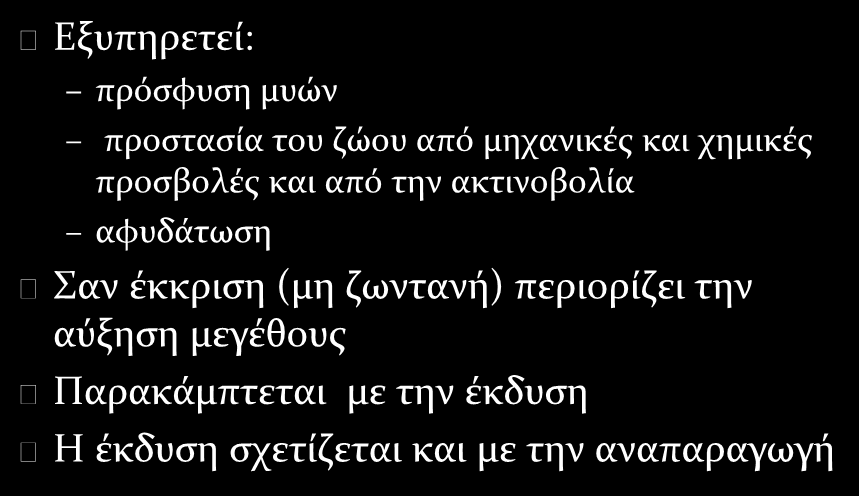 Εξωσκελετός Εξυπηρετεί: πρόσφυση μυών προστασία του ζώου από μηχανικές και χημικές προσβολές και από την ακτινοβολία αφυδάτωση