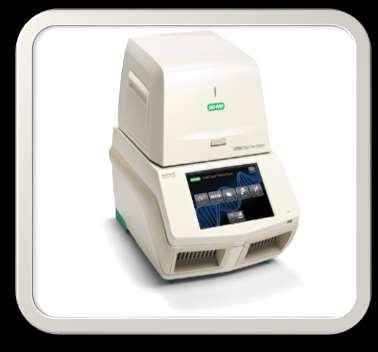 Real-Time PCR II.