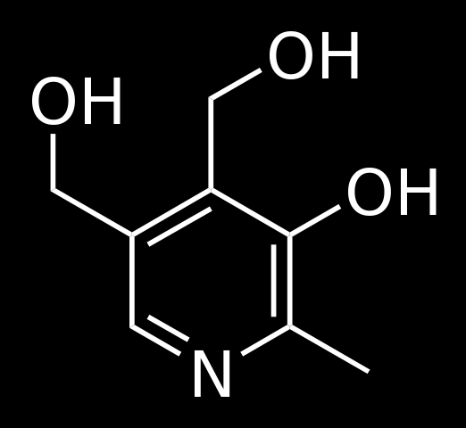Vitamina B6 (Piridoxina) - identificată de P.