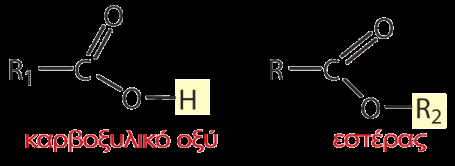 Κατά την αντίδραση, που ονομάζεται εστεροποίηση Fischer, η ομάδα R 2 -O της αλκοόλης αντικαθιστά το ΟΗ του καρβοξυλικού οξέος.
