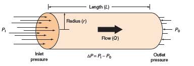 αυξομειώσεις της ροής στα αγγεία οφείλονται στις αντιστάσεις των αγγείων. Εικόνα 5.