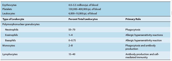 Εικόνα 5.5: Λευκοκύτταρα 5.7 ΤΟ ΠΛΑΣΜΑ Το πλάσμα είναι το υγρό συστατικό του αίματος και, όπως υποδεικνύεται στον Πίνακα, είναι ένα σύνθετο διάλυμα ηλεκτρολυτών και πρωτεϊνών.