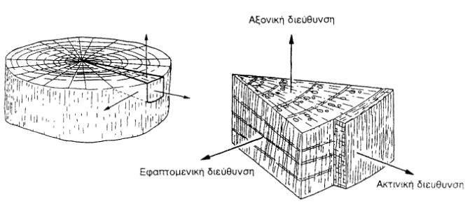 3.1 Μακροσκοπική δομή Από έξω προς τα μέσα Φλοιός (εξωτερικός-εσωτερικός) Κάμβιο και αυξητικοί δακτύλιοι Σομφό ξύλο Εγκάρδιο ξύλο ή