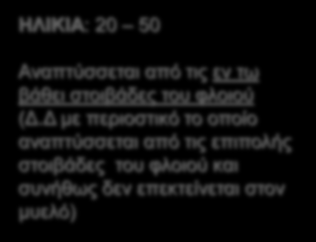 Οστεοσάρκωμα Παραοστικό ΗΛΙΚΙΑ: 20 50 Αναπτύσσεται από τις εν τω βάθει στοιβάδες του φλοιού (Δ.