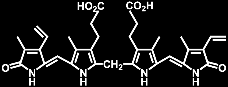 Bilirubin Metabolit hema (80% iz hemoglobina) rumene barve ~270 mg/dan Se veţe na albumin, ki ga transportira v