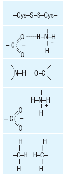 donor (N) şi acceptor (O) <3,5 o A Depinde de constanta dielectrică a mediului Ecranată de apă Dependenţa 1/r La distanţă mică Scade rapid peste 4 Å Dependenţa 1/r 6 2,8 Å 12,5-17kJ/mol 30kJ/mol pt.