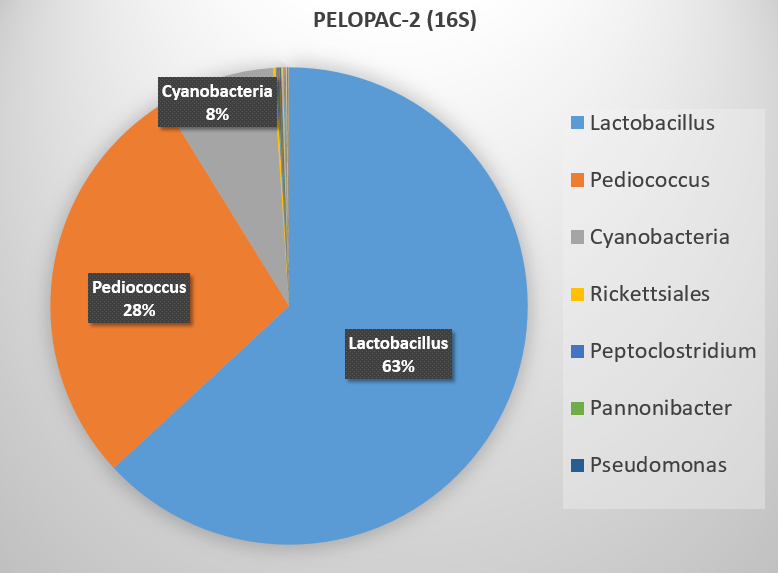 PELOPAC-2 Lactobacillus: 63%