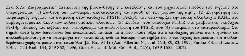 Μεταβολισμός Η 2 Ο 2 Βιογένεση Υ ΔΙΑΛΟΓΗ