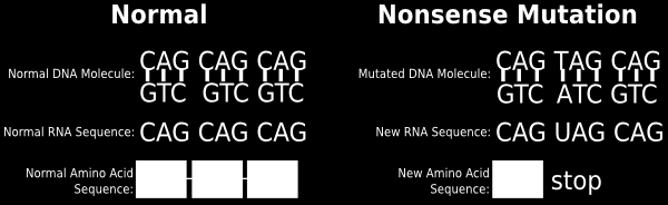 Αντικατάσταση ενός νουκλεοτιδίου στο DNA.