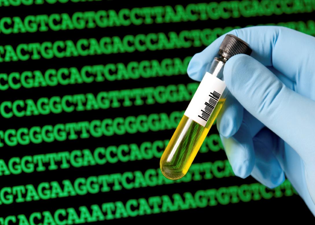 Τα ριβοσώματα «διαβάζουν» την οδηγία που «γράφει» το DNA και τοποθετούνται